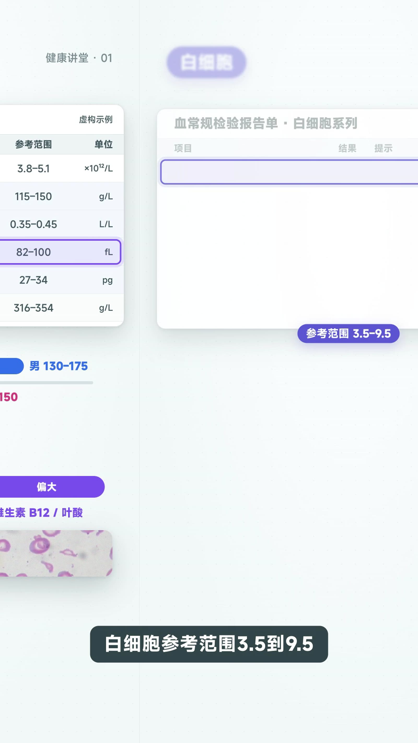 看懂血常规:红细胞、白细胞、血小板的数字怎么读