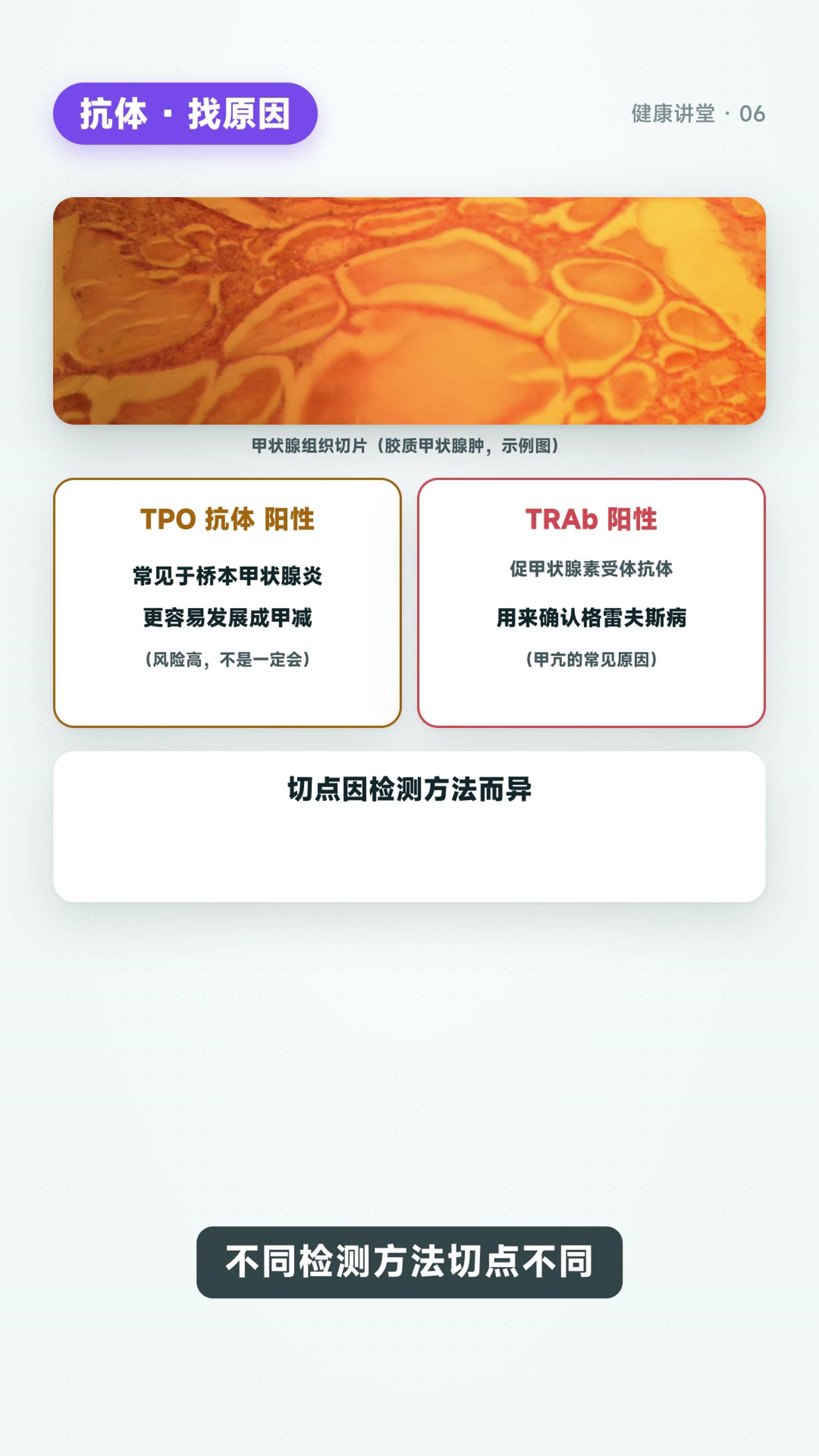 看懂甲功报告：TSH、FT4、抗体